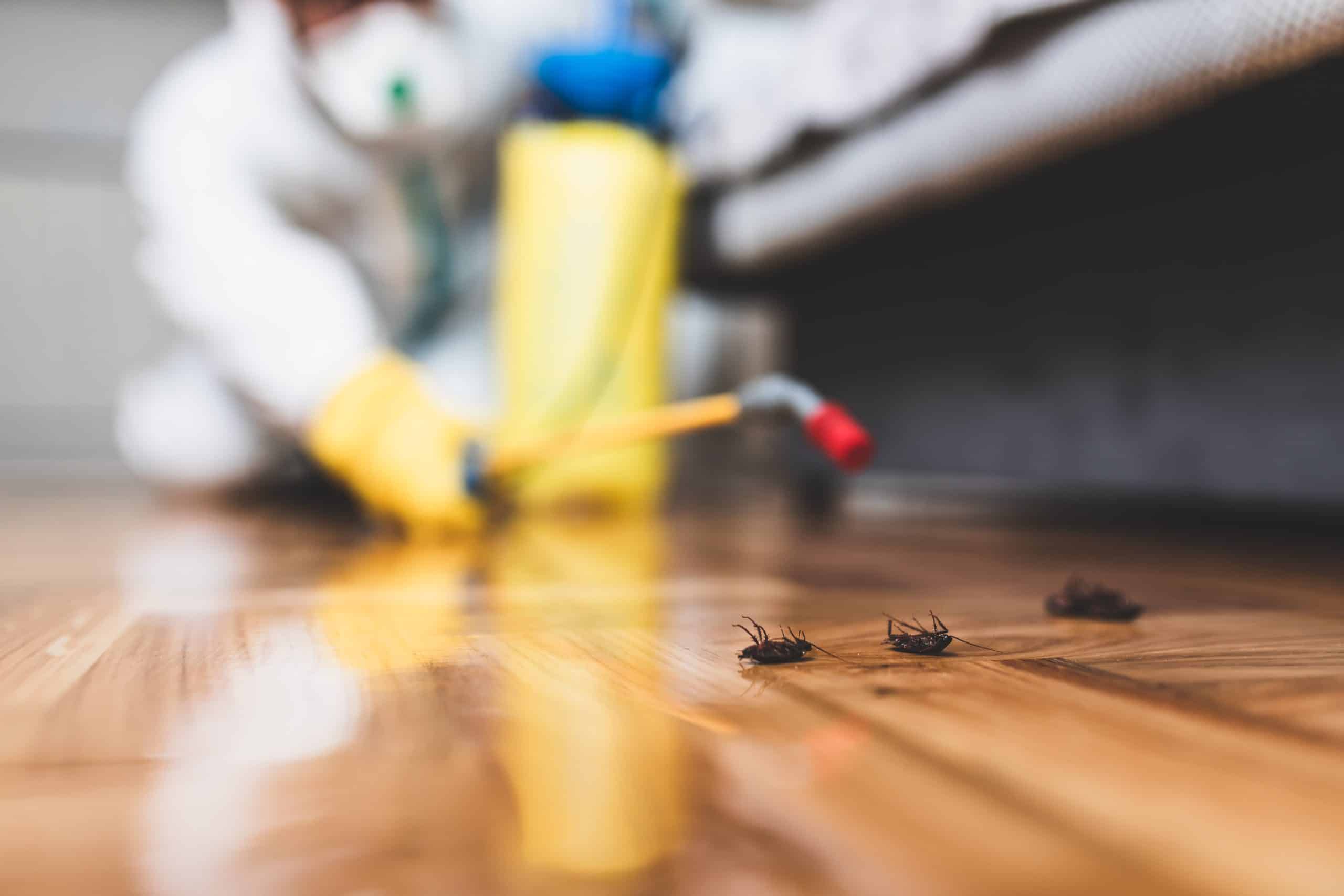 Comment désinfecter un restaurant ?